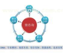企業(yè)管理信息咨詢(xún)服務(wù) 驅(qū)動(dòng)企業(yè)可持續(xù)發(fā)展的關(guān)鍵力量